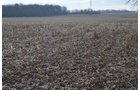 Property photo 8 - 98+/- Acres Offered in 6 Tracts or Combinations, Noble County, Indiana Farm